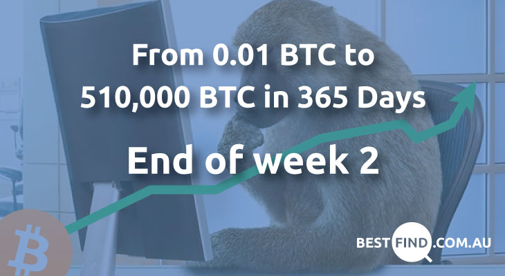 From 0.01 to 510,000 Bitcoins in 365 Days – End of Week 2 (Monkey vs. Man)