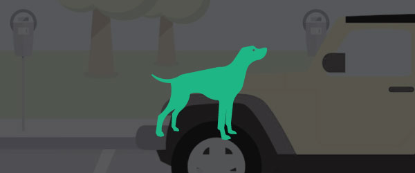 parkhound